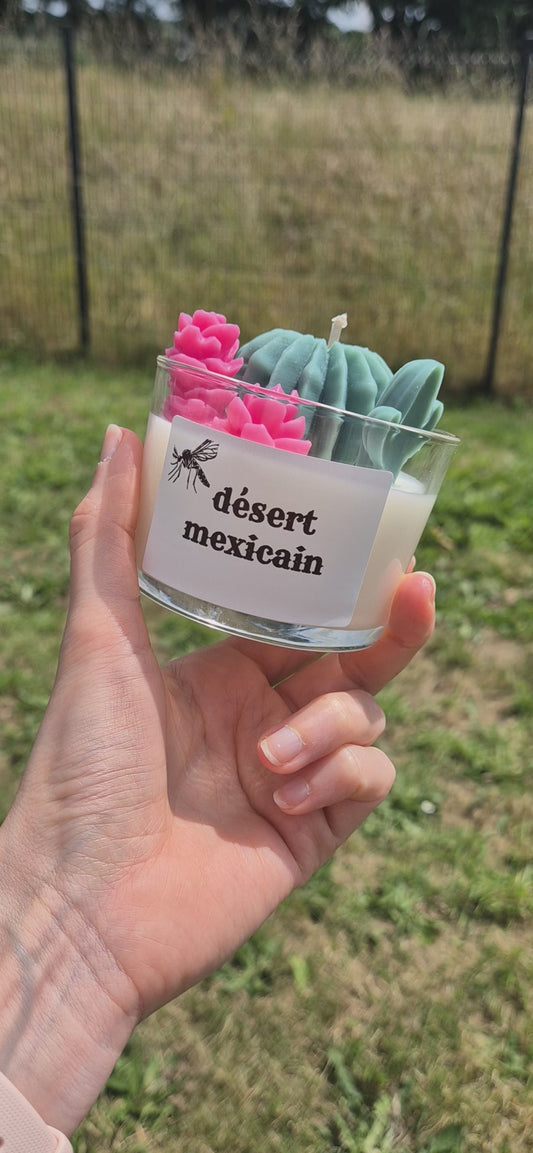 Bougie désert mexicain