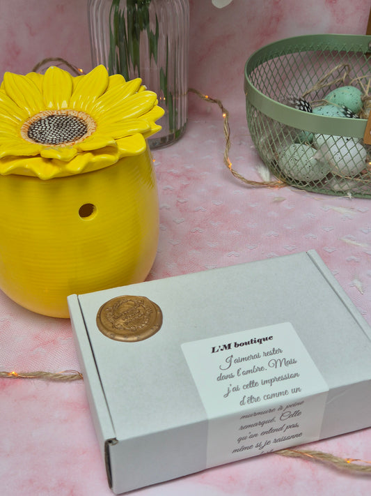 Lot brûleur tournesol+coffret 5 fondants